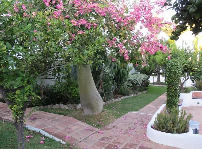 Lejlighed Bien Situado En Marbella